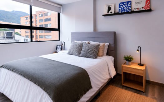 Apartamento en arriendo en Quinta Camacho una habitación